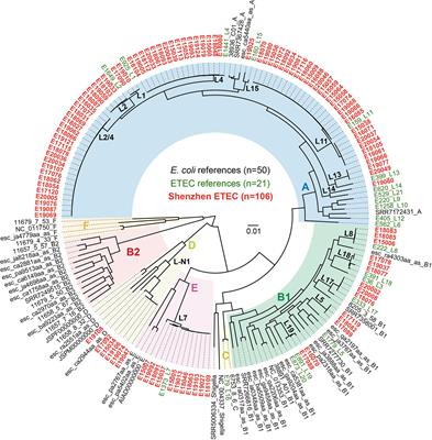 Genomic Epidemiology and Antimicrobial Susceptibility Profile of Enterotoxigenic Escherichia coli From Outpatients With Diarrhea in Shenzhen, China, 2015–2020